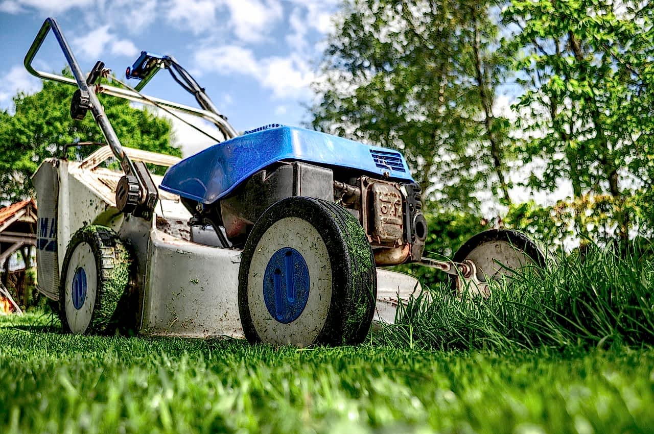lawnmower, gardening, lawn-mower